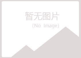 平鲁区从彤服务有限公司